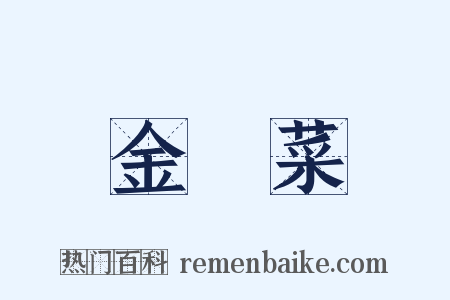 金針菜是什么意思的图片